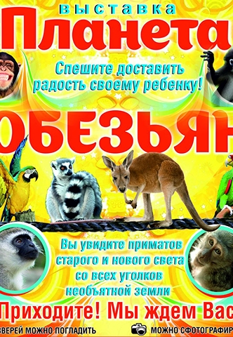 Выставка ОБЕЗЬЯН и других экзотических животных!