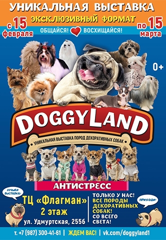 Супер выставка “Doggy land” теперь в Ижевске!